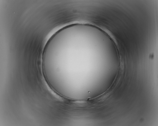 X0000110671343200906261248