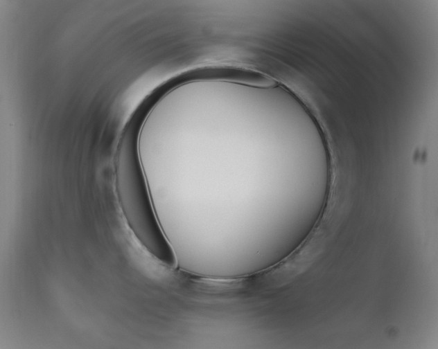 X0000110671344200906261248