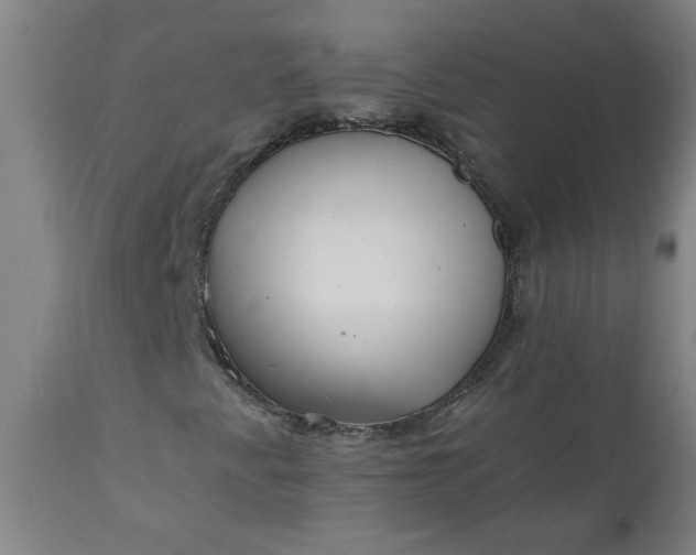 X0000110671345200906261248