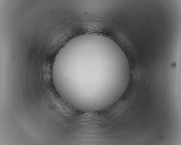 X0000110671346200906261248
