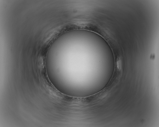 X0000110671347200906261248