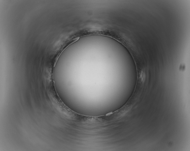 X0000110671348200906261248