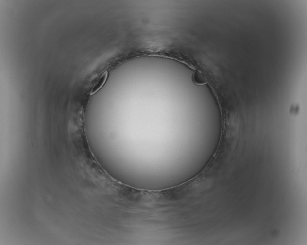 X0000110671349200906261248
