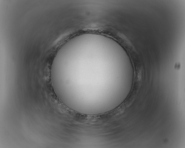 X0000110671350200906261248