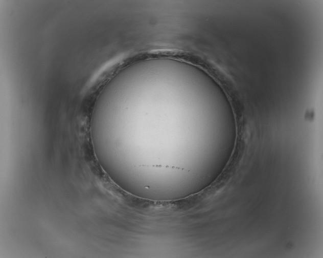 X0000110671351200906261248