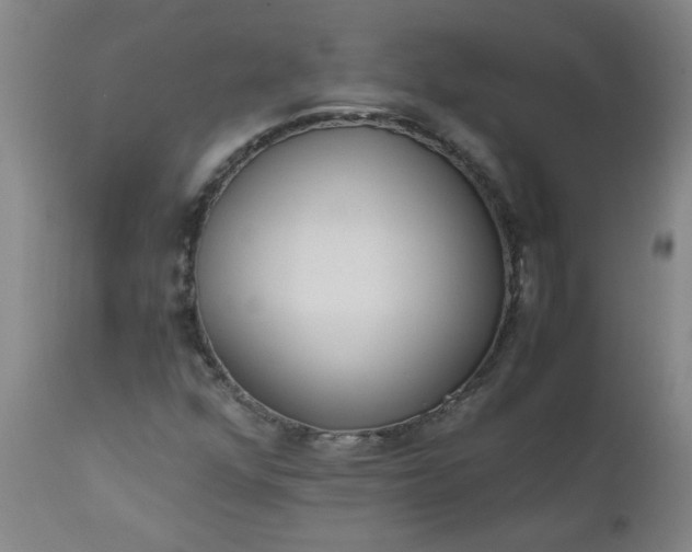X0000110671352200906261248