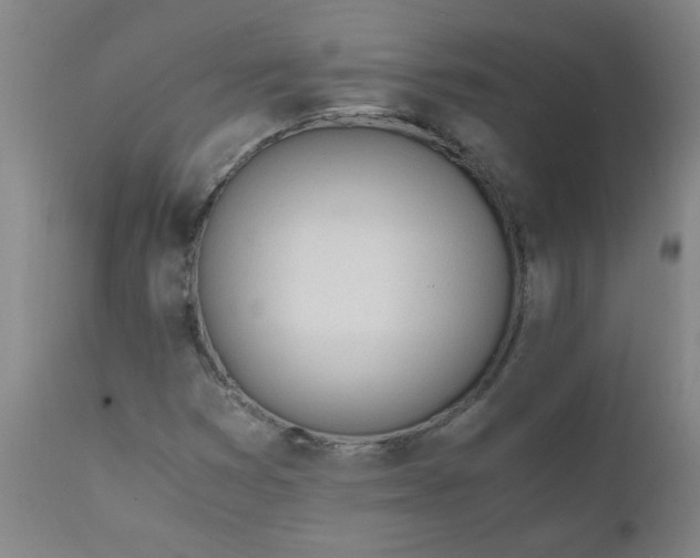 X0000110671353200906261248