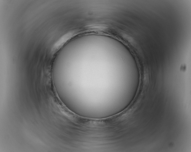 X0000110671354200906261248