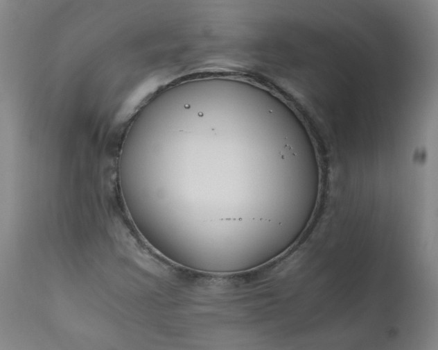X0000110671355200906261248