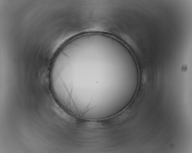 X0000110671356200906261248
