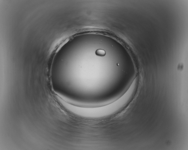 X0000110671357200906261248