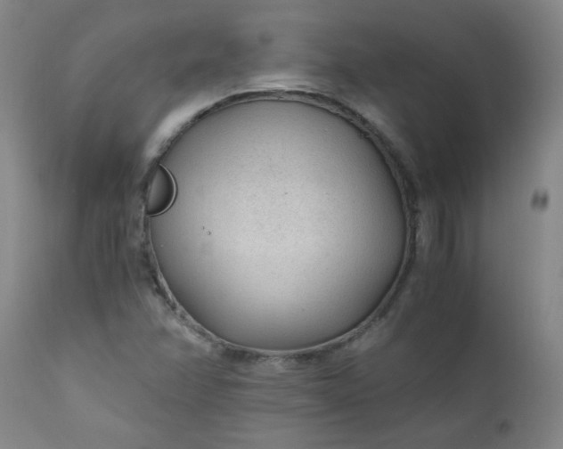 X0000110671358200906261248