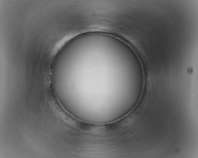 X0000110671363200906261248