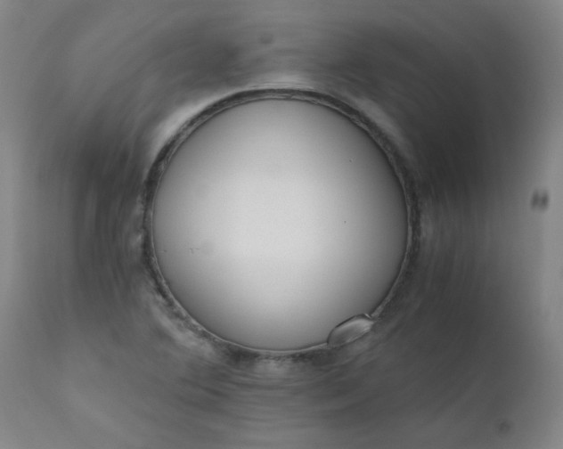X0000110671364200906261248