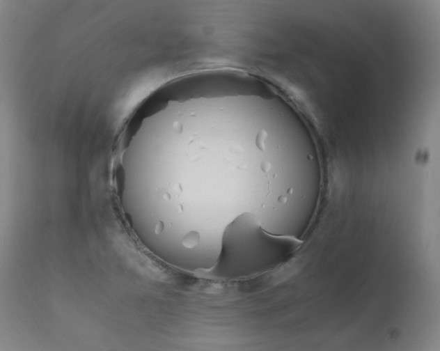 X0000110671365200906261248