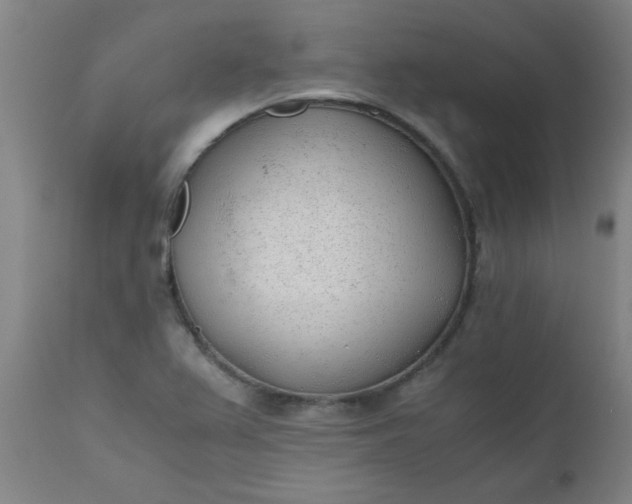 X0000110671367200906261248