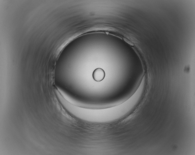 X0000110671369200906261247