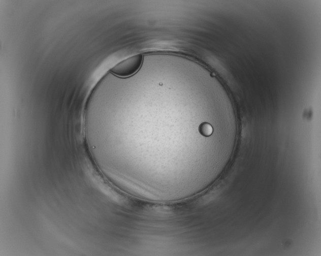 X0000110671370200906261247