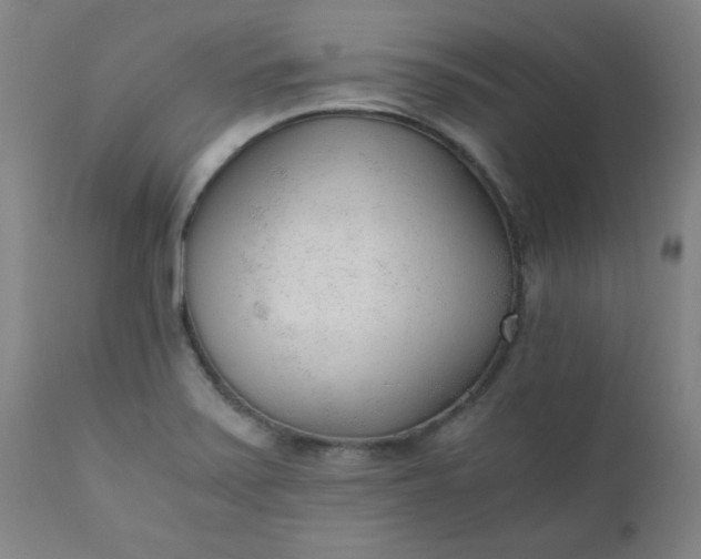 X0000110671371200906261247
