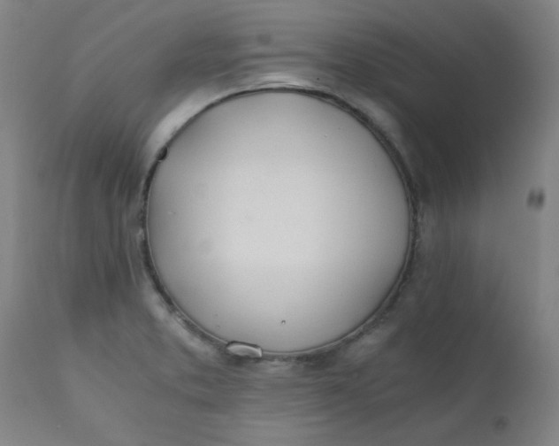 X0000110671373200906261247