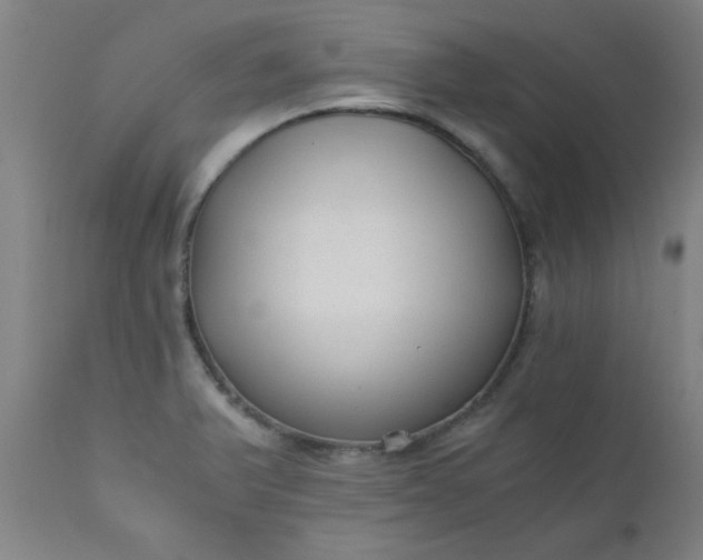 X0000110671375200906261247