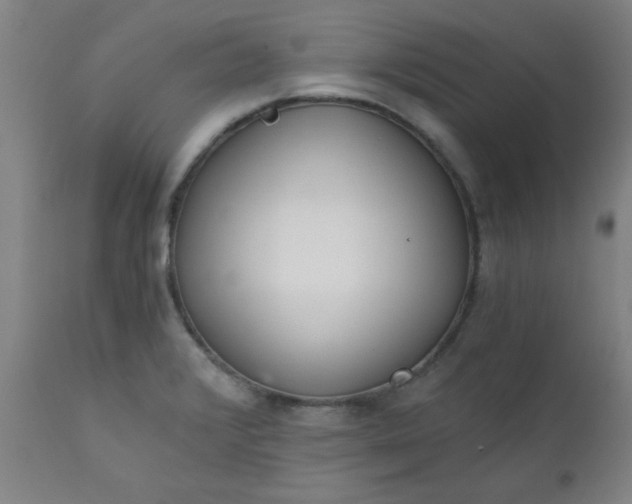 X0000110671376200906261247