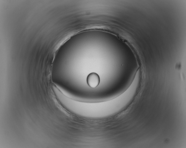 X0000110671377200906261247