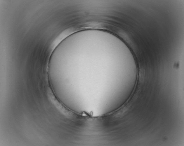 X0000110671378200906261247