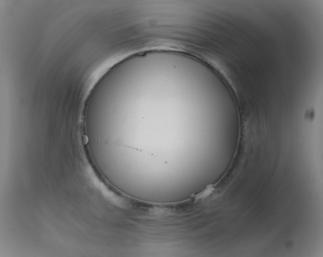 X0000110671379200906261247