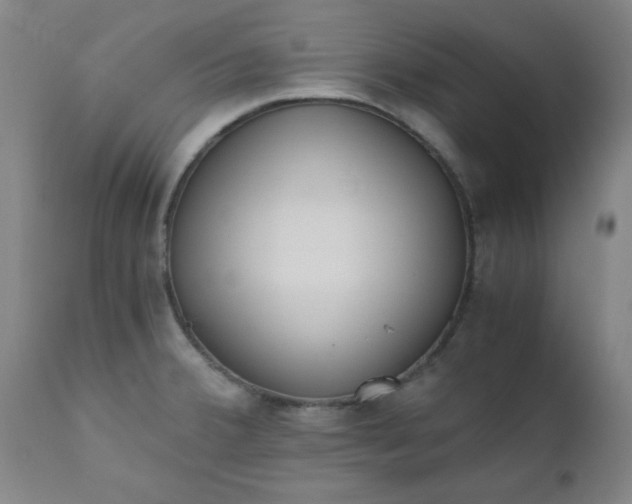 X0000110671380200906261247