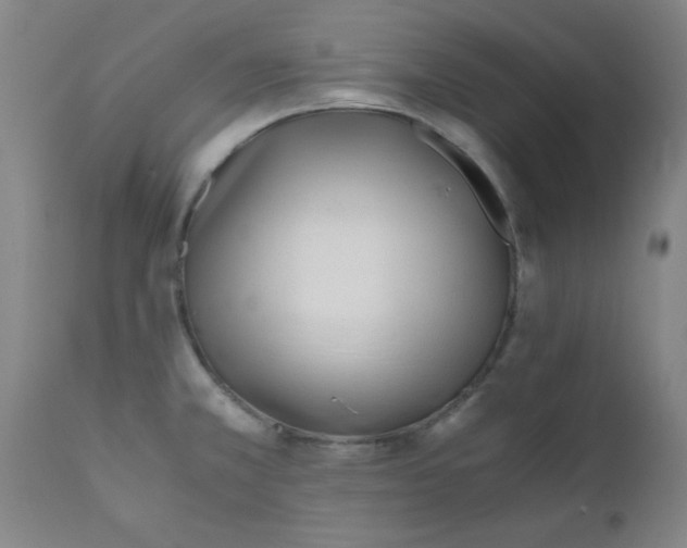 X0000110671381200906261247
