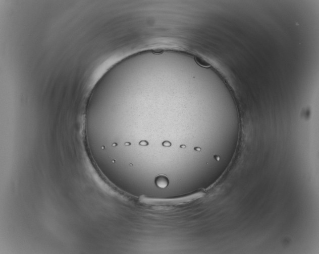 X0000110671383200906261247