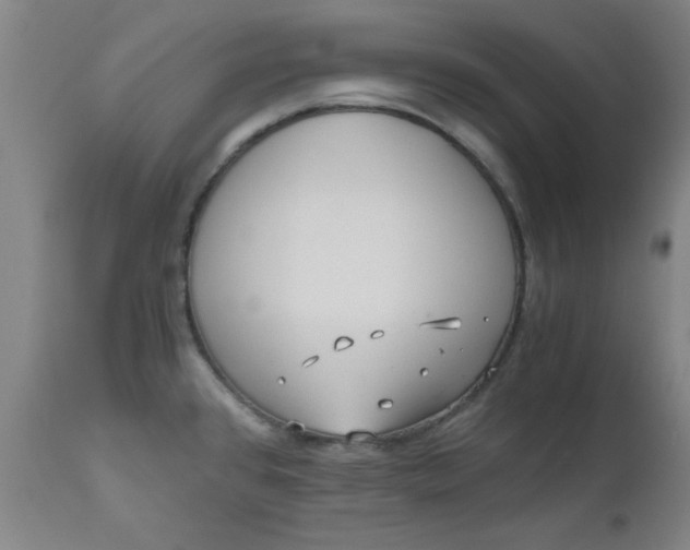 X0000110671384200906261247