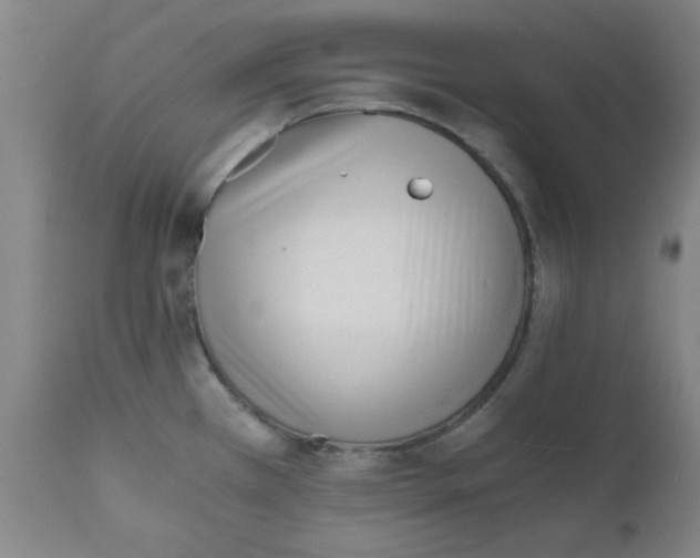 X0000110671385200906261247