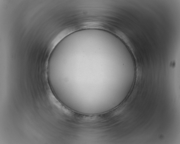 X0000110671386200906261247