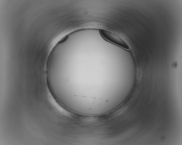 X0000110671387200906261247