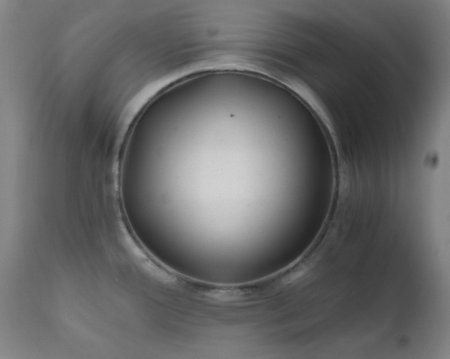 X0000110671388200906261247