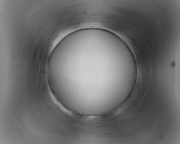 X0000110671390200906261247