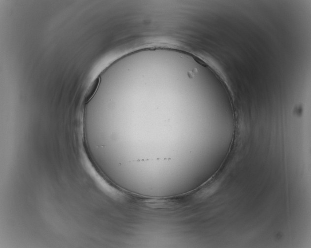 X0000110671391200906261247
