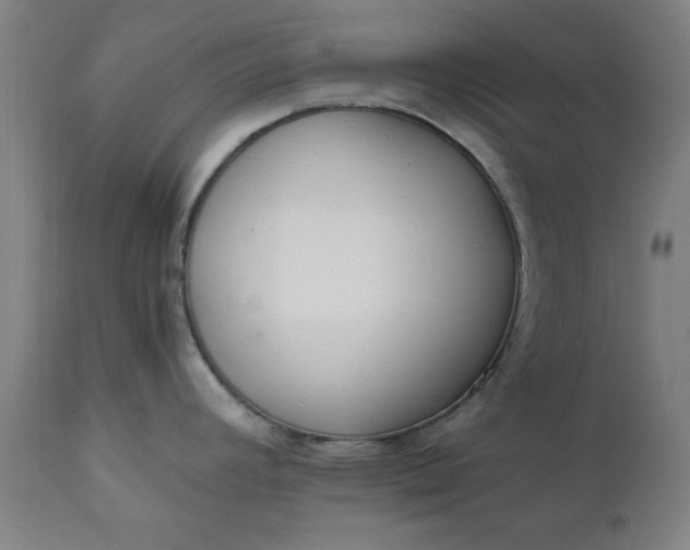 X0000110671392200906261247
