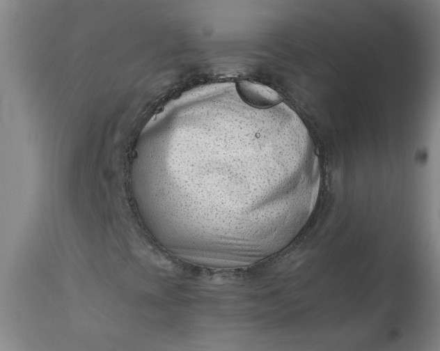 X0000110671393200906261246