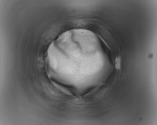 X0000110671395200906261246
