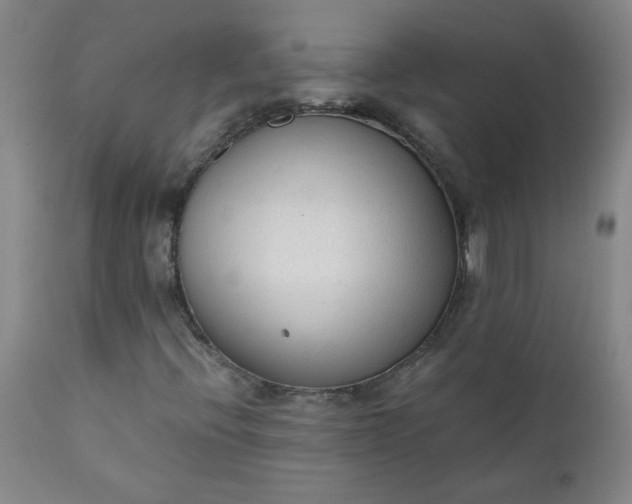 X0000110671396200906261246