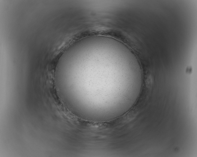 X0000110671397200906261246