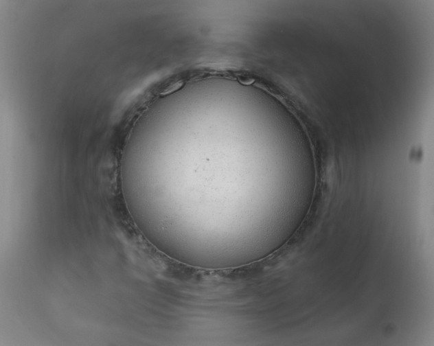X0000110671398200906261246