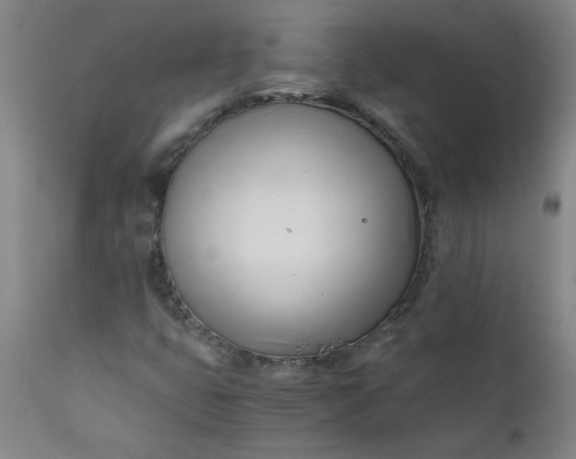 X0000110671399200906261246