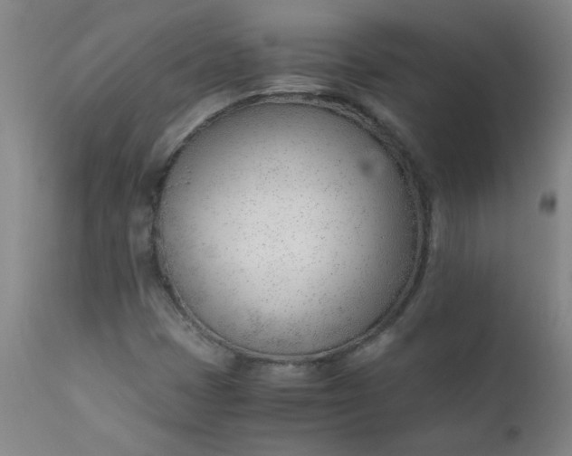 X0000110671401200906261246