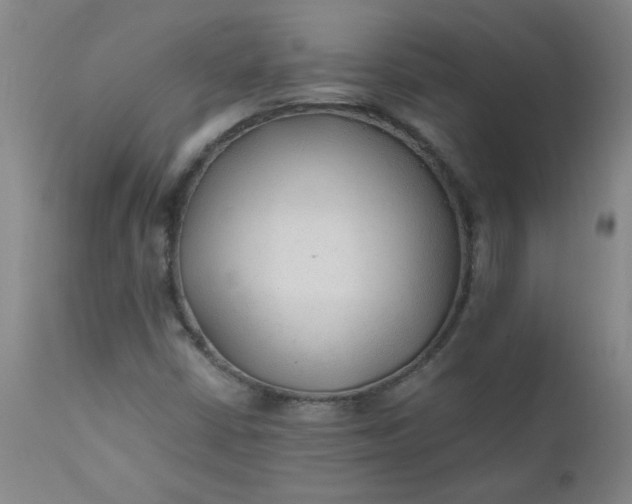 X0000110671402200906261246