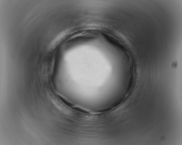 X0000110671403200906261246