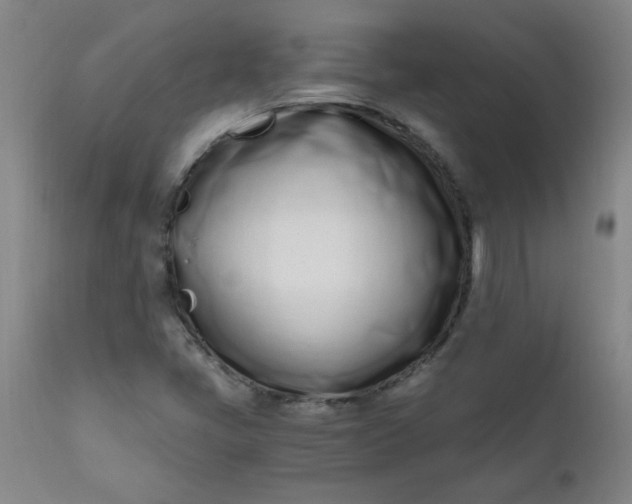 X0000110671405200906261246